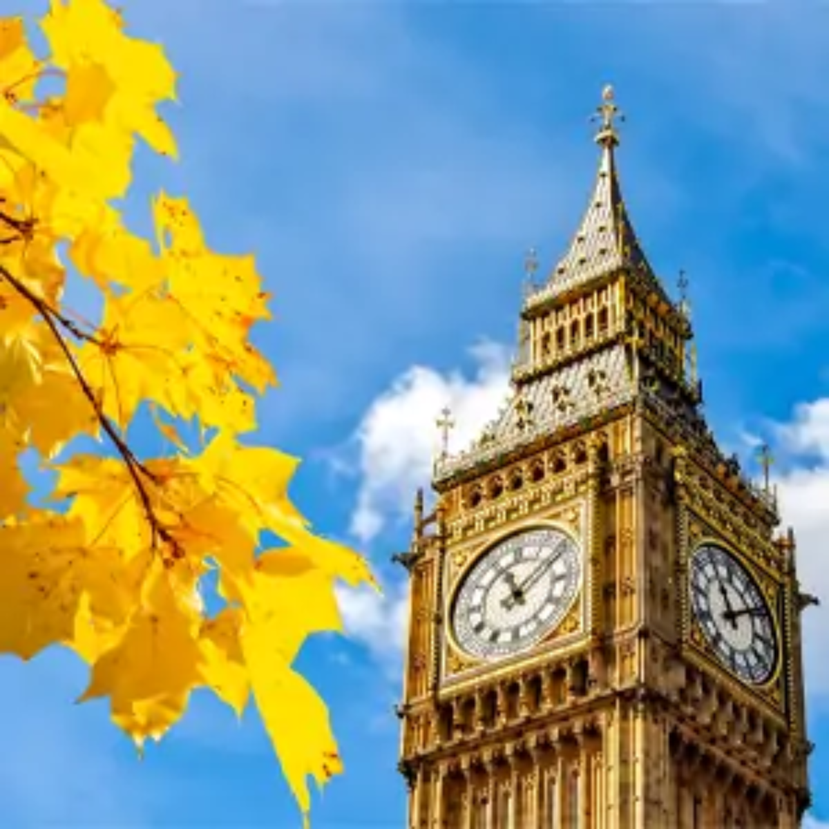 Big ben against a blue sky and clouds with autumnal yellow leaves in foreground