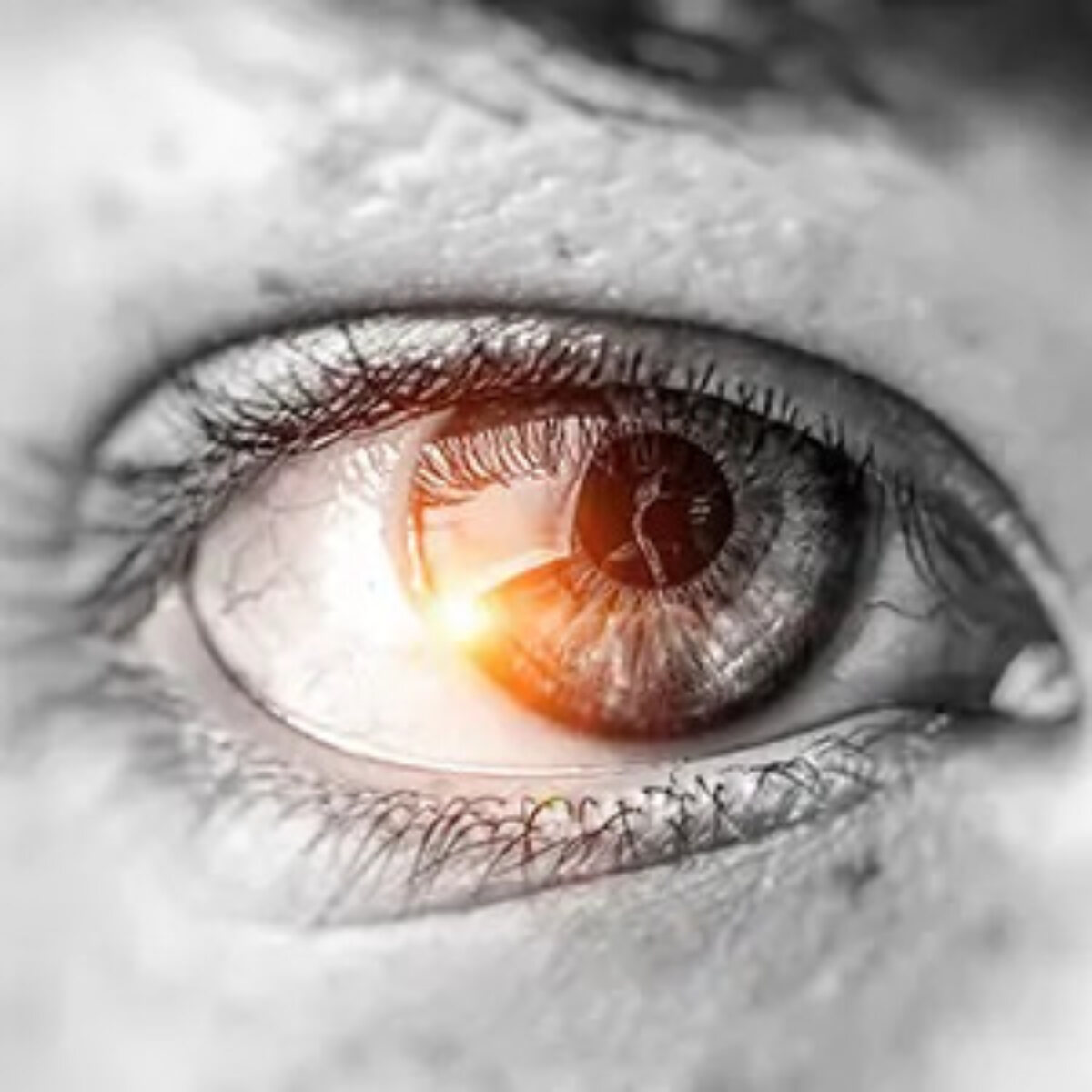 Close-up of eye