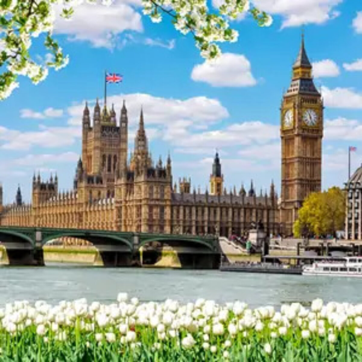 Houses of Parliament and the River Thames against a blue cloudy sky with flowers in the foreground