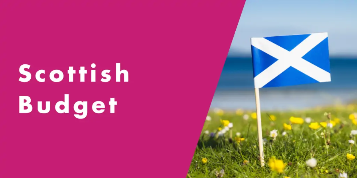 Miniature Scottish Flag on a stick in the grass with a pink graphic block next to it containing the text 'Scottish Budget' in white