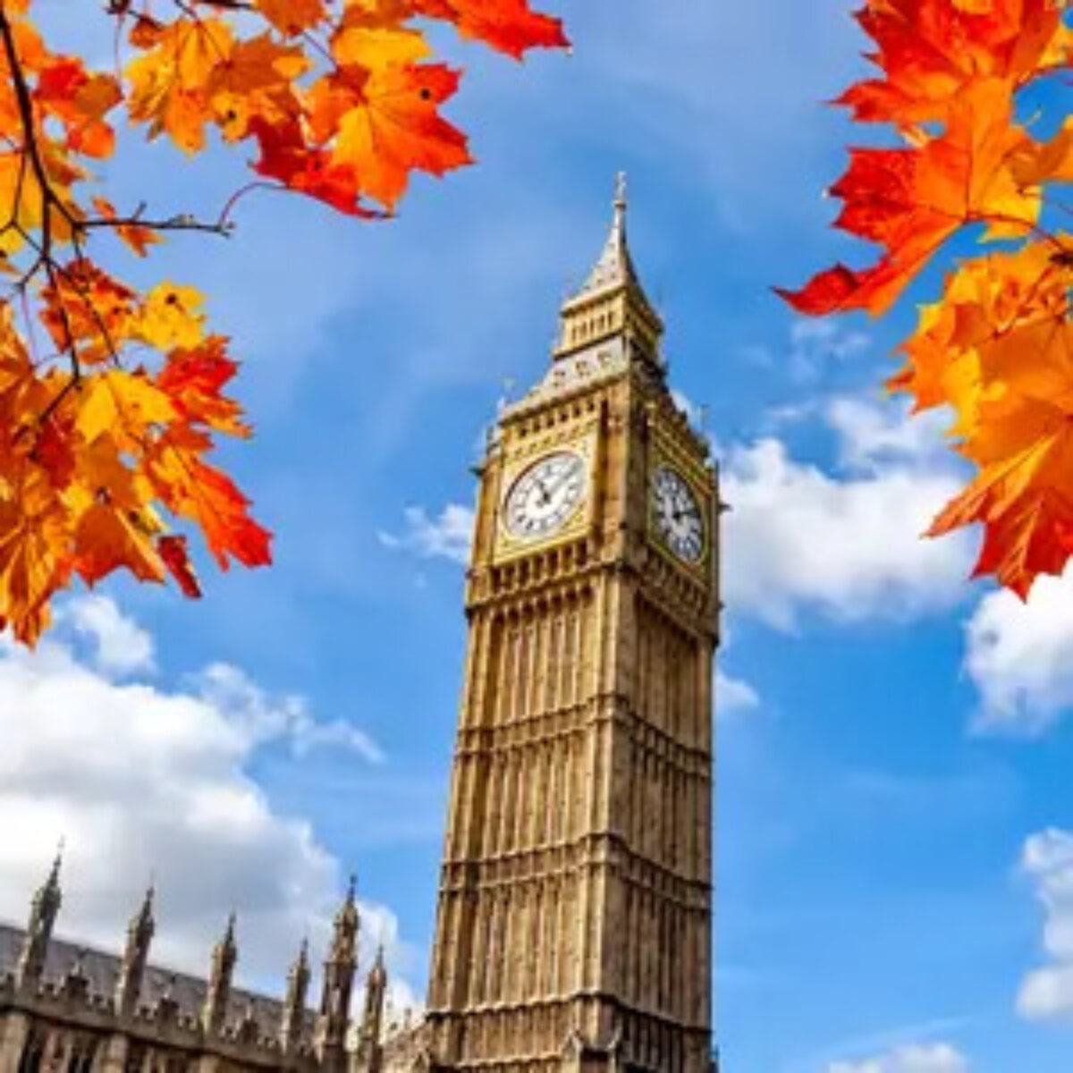Big ben against a blue sky and clouds with autumnal orange leaves in foreground