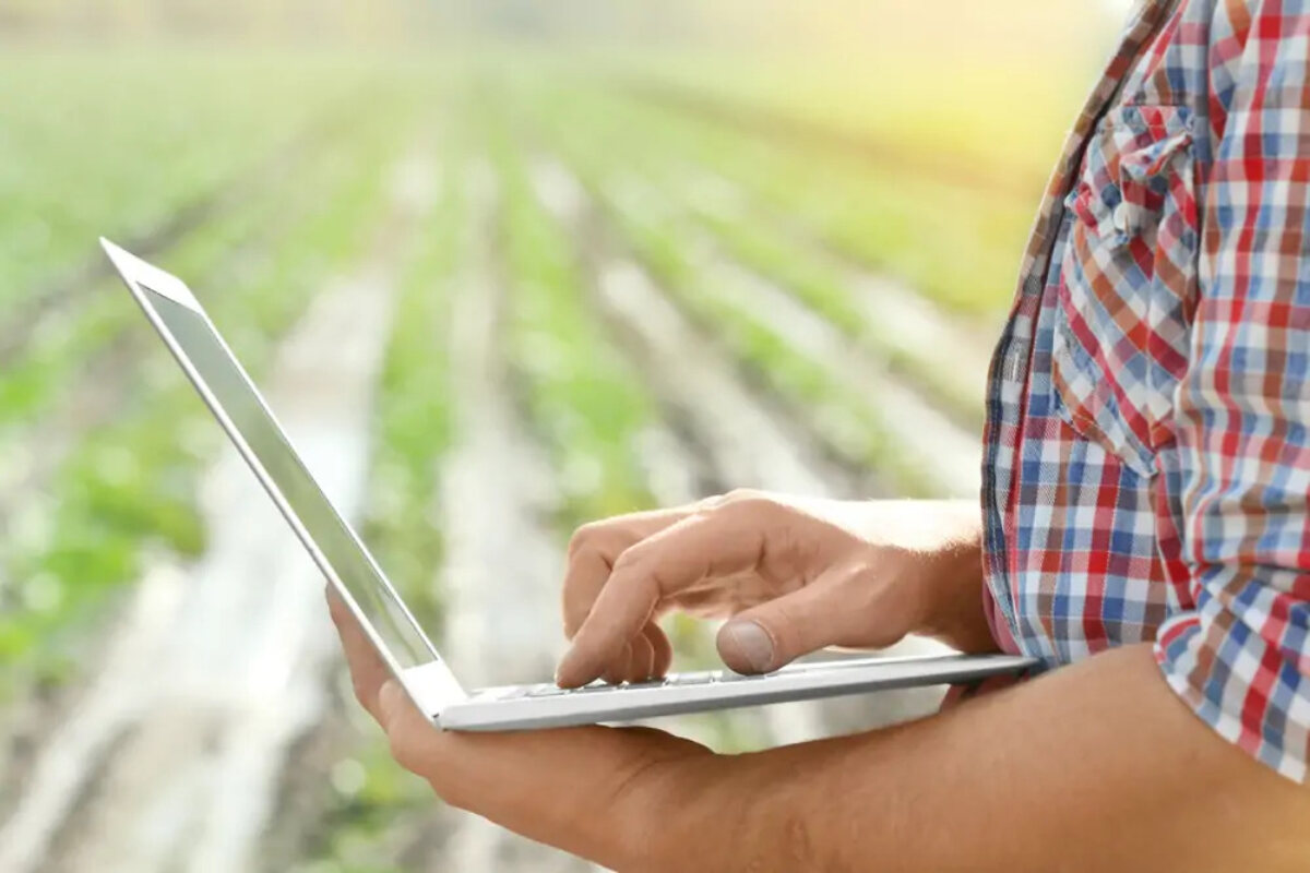 Man using laptop stood in front of field