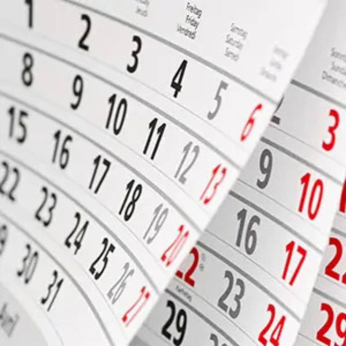 Close-up of calendar pages