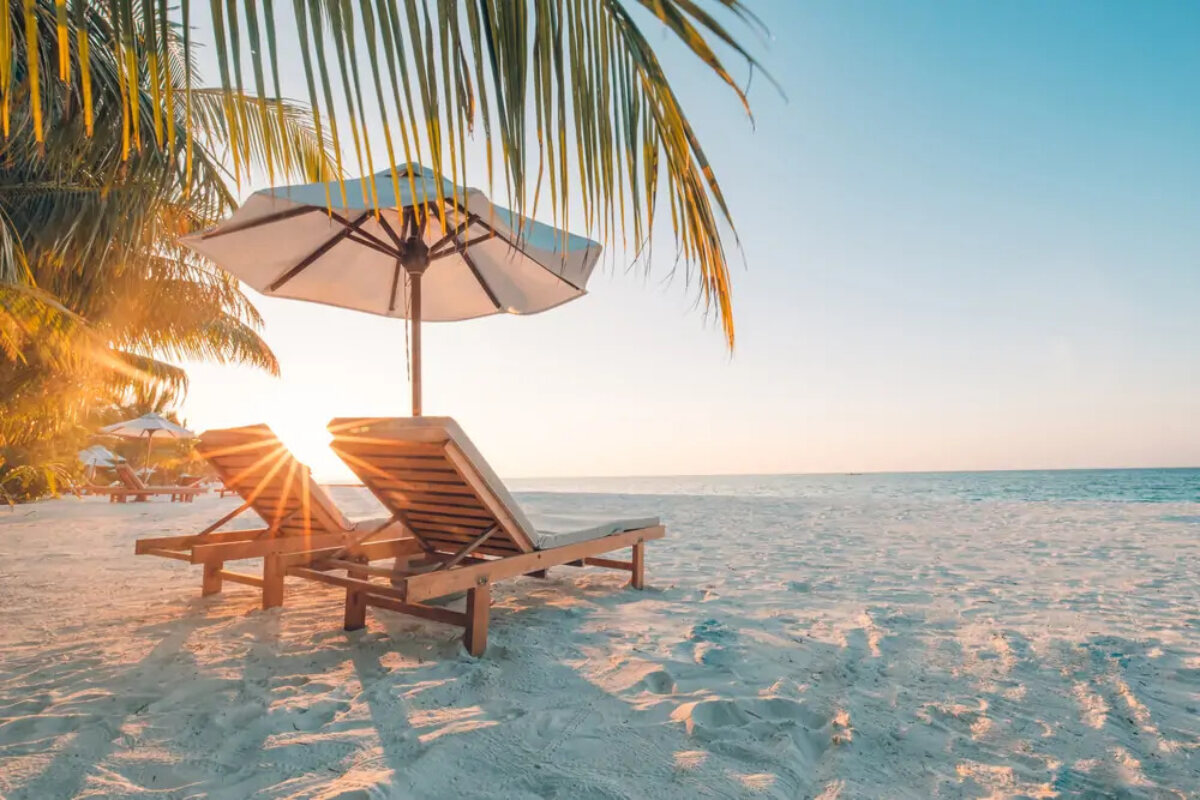 Sun loungers and parasols in front of palm trees on a sandy beach at sunset