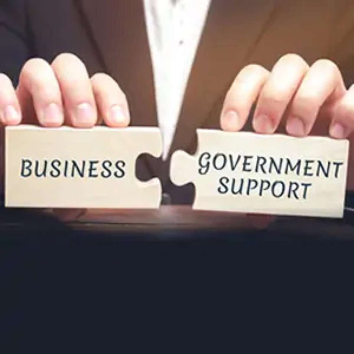 Hands holding two jigsaw pieces separated but close together - one reads 'business' and the other 'government support'