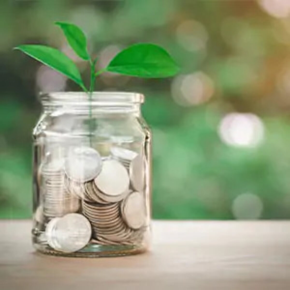 Jar half-filled with coins with a sprout growing out