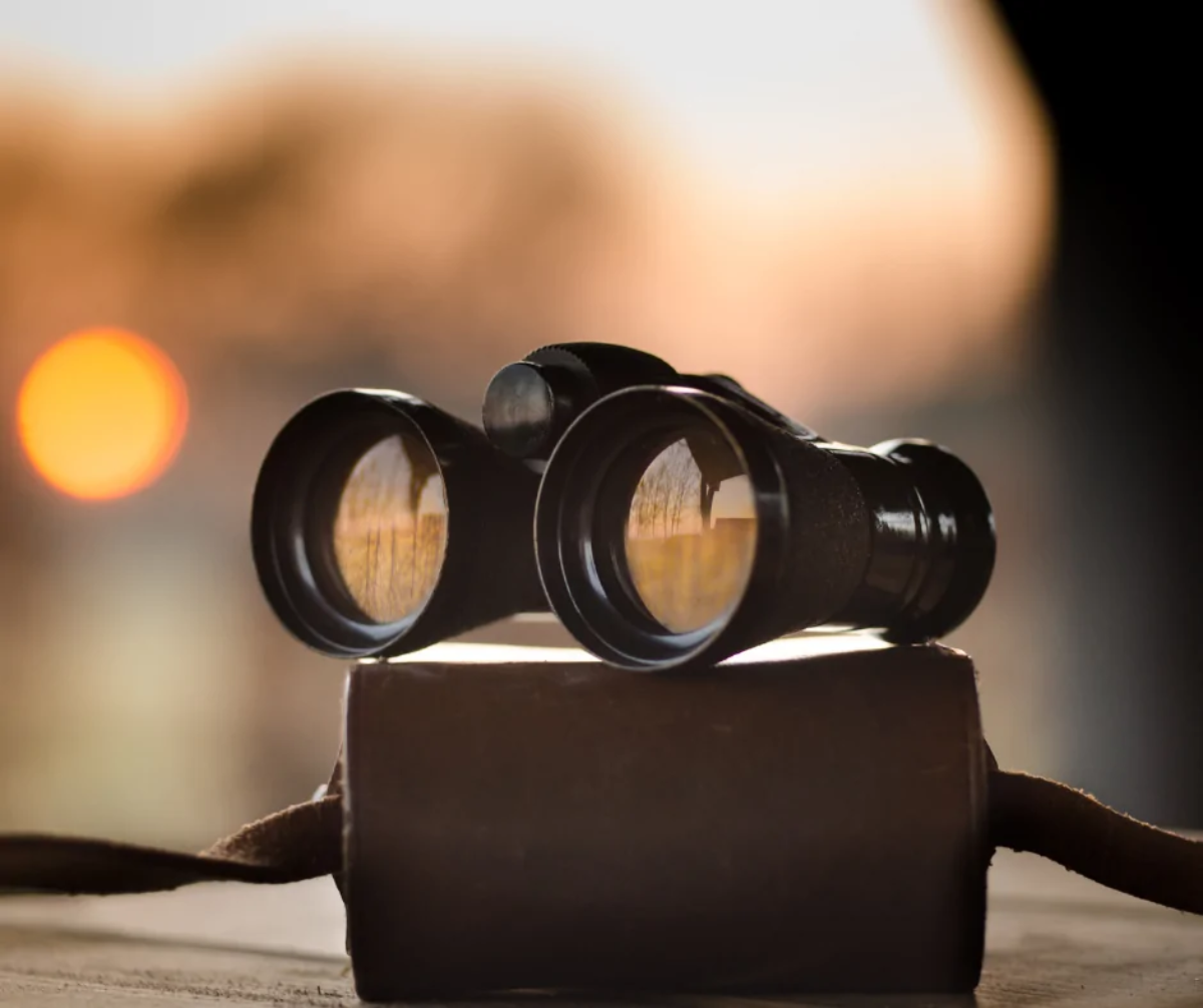 Pair of binoculars resting on top of case on table