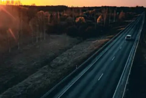 Single car on road through fields and trees at sunset