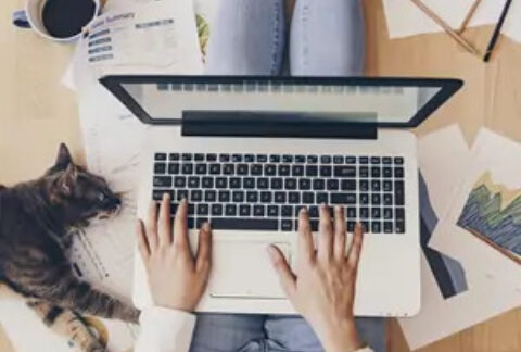 Woman sitting with legs outstretched using laptop on lap with cat lying next to her surrounded by documents