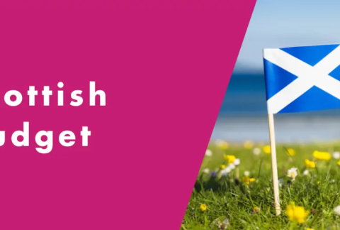 Miniature Scottish Flag on a stick in the grass with a pink graphic block next to it containing the text 'Scottish Budget' in white