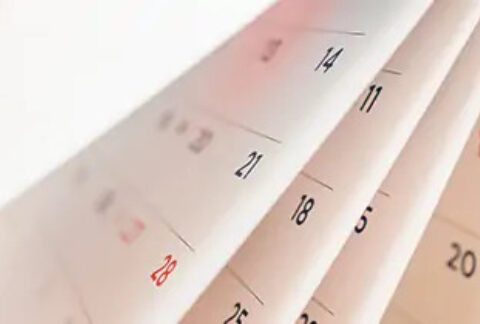 Calendar pages