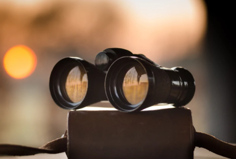 Pair of binoculars resting on top of case on table