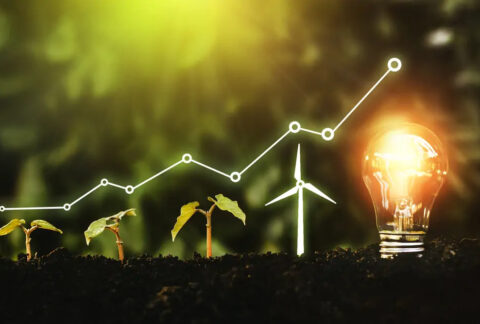 Soil with three shoots of increasing height growing out, followed by an image of a wind turbine, followed by a lightbulb, with an increasing line graph image above