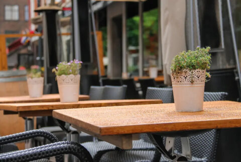 Pavement cafe tables and chairs with a plant on top of each table