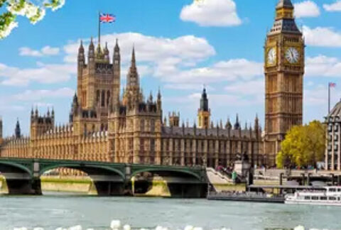 Houses of Parliament and the River Thames against a blue cloudy sky with flowers in the foreground