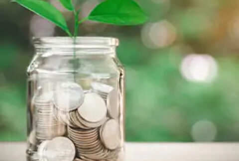 Jar half-filled with coins with a sprout growing out