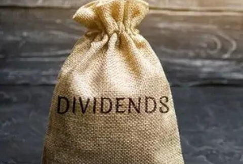 Sack on floor with 'dividends' on front