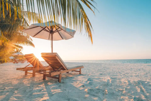 Sun loungers and parasols in front of palm trees on a sandy beach at sunset
