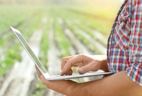 Man using laptop stood in front of field